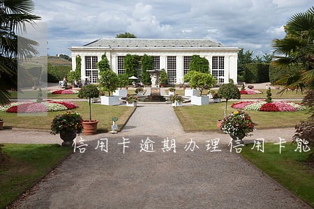信用卡逾期办理信用卡能通过吗