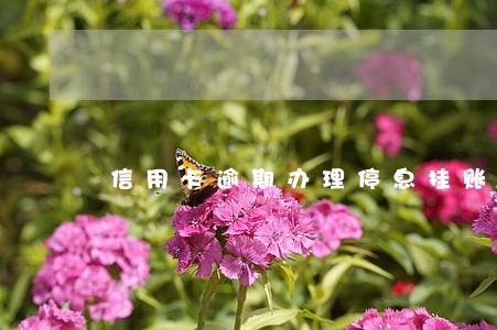 信用卡逾期办理停息挂账需要什么