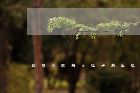 信用卡逾期办理分期还款