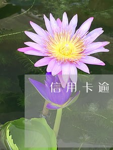 信用卡逾期办理分期需要什么条件
