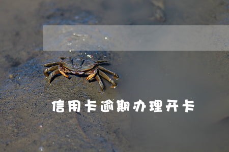 信用卡逾期办理开卡 信用卡逾期办理开卡
