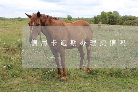 信用卡逾期办理捷信吗