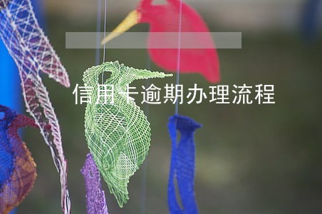 信用卡逾期办理流程 信用卡逾期办理流程