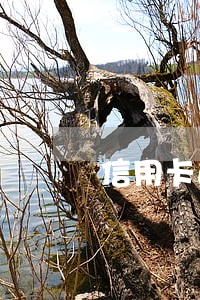 信用卡逾期办理的分期再逾期 信用卡逾期办理的分期再逾期
