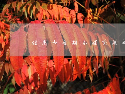 信用卡逾期办理贷款成功