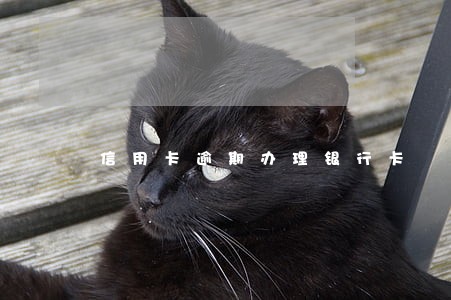 信用卡逾期办理银行卡