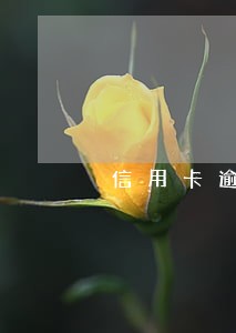 信用卡逾期办理长期分期