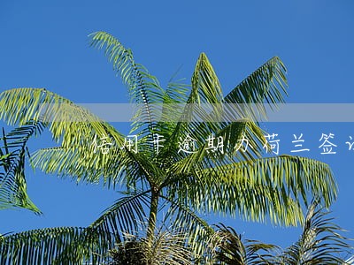 信用卡逾期办荷兰签证 信用卡逾期办荷兰签证