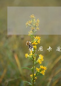 信用卡逾期办银行卡会发现吗