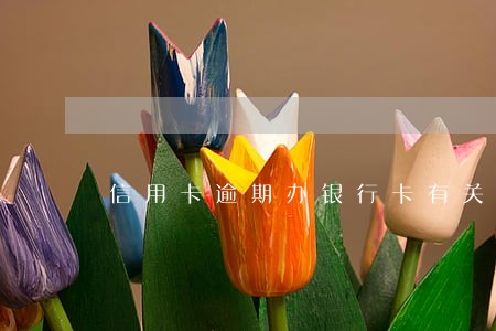 信用卡逾期办银行卡有关系吗 信用卡逾期办银行卡有关系吗