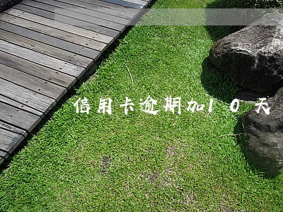 信用卡逾期加10天 信用卡逾期加10天