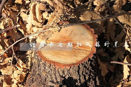 信用卡逾期加入银行黑名单 信用卡逾期加入银行黑名单
