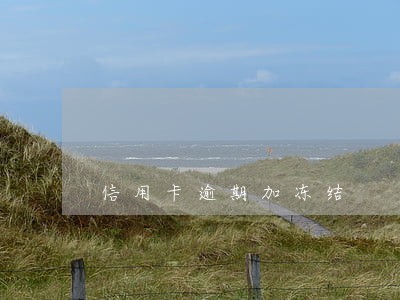 信用卡逾期加冻结 信用卡逾期加冻结