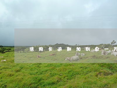 信用卡逾期加利息一万多 信用卡逾期加利息一万多