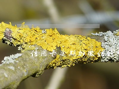 信用卡逾期加微信的都是什么人