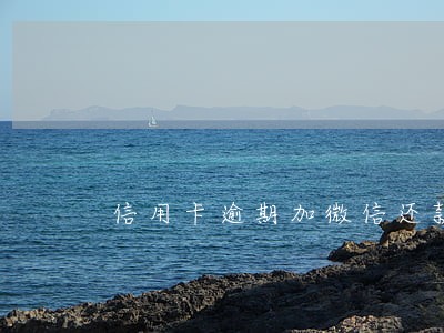 信用卡逾期加微信还款 信用卡逾期加微信还款