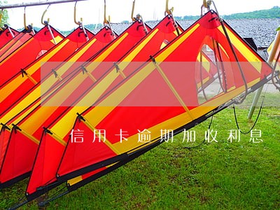 信用卡逾期加收利息 信用卡逾期加收利息