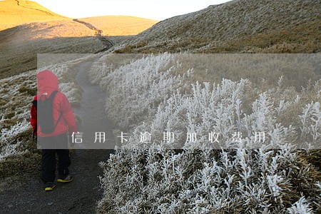 信用卡逾期加收费用