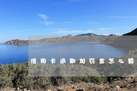 信用卡逾期加罚金怎么算的 信用卡逾期加罚金怎么算的