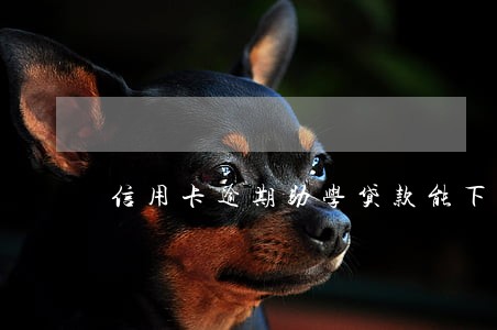 信用卡逾期助学贷款能下来吗 信用卡逾期助学贷款能下来吗