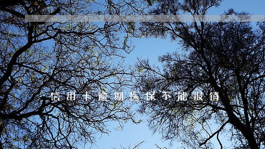 信用卡逾期医保不能报销 信用卡逾期医保不能报销