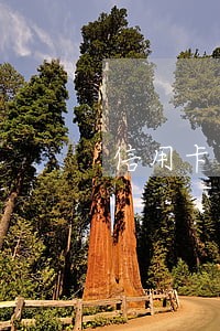 信用卡逾期十一天会有污点吗