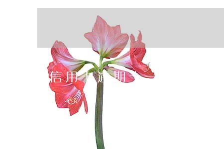 信用卡逾期十一天还最低还款