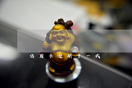 信用卡逾期十一次 信用卡逾期十一次