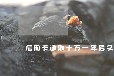 信用卡逾期十万一年后又多少钱