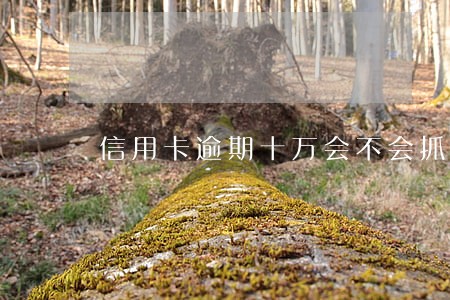 信用卡逾期十万会不会抓人