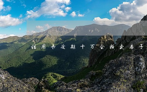 信用卡逾期十万会拍卖房子 信用卡逾期十万会拍卖房子