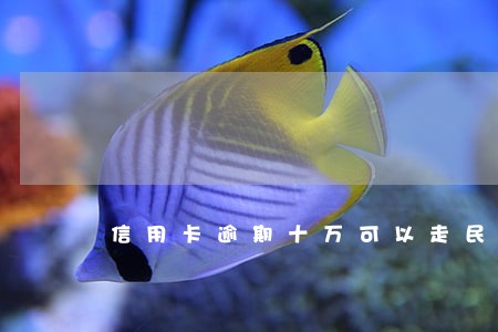 信用卡逾期十万可以走民事吗 信用卡逾期十万可以走民事吗