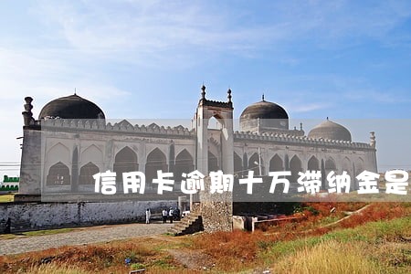 信用卡逾期十万滞纳金是多少 信用卡逾期十万滞纳金是多少
