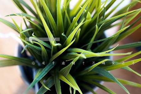 信用卡逾期十万确实还不上怎么解决 信用卡逾期十万确实还不上怎么解决