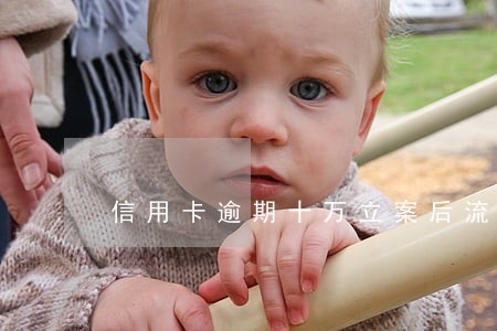 信用卡逾期十万立案后流程 信用卡逾期十万立案后流程