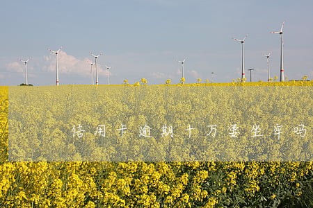 信用卡逾期十万要坐牢吗