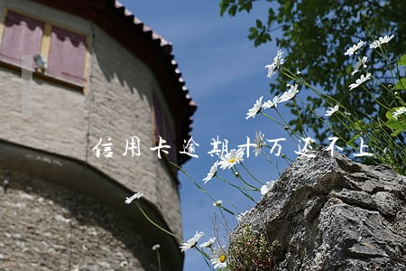 信用卡逾期十万还不上 信用卡逾期十万还不上