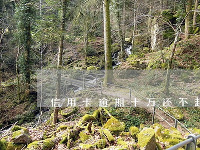 信用卡逾期十万还不起