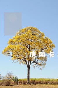 信用卡逾期十万银行报案经侦 信用卡逾期十万银行报案经侦