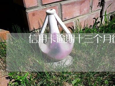 信用卡逾期十三个月征信会