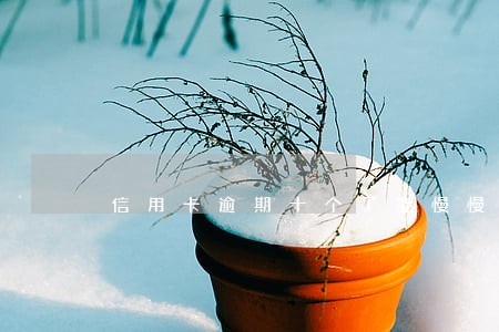 信用卡逾期十个了能慢慢还吗 信用卡逾期十个了能慢慢还吗