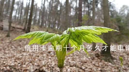 信用卡逾期十个月多久才能申请 信用卡逾期十个月多久才能申请
