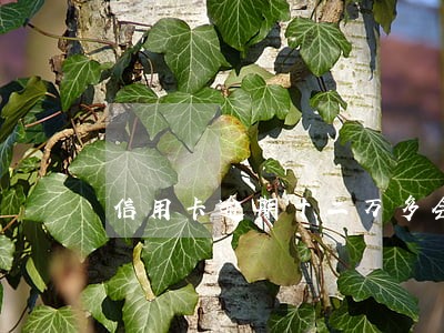 信用卡逾期十二万多会判几年 信用卡逾期十二万多会判几年