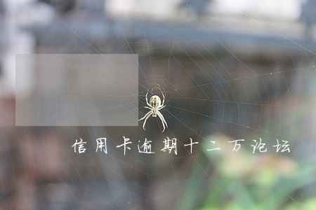 信用卡逾期十二万论坛 信用卡逾期十二万论坛