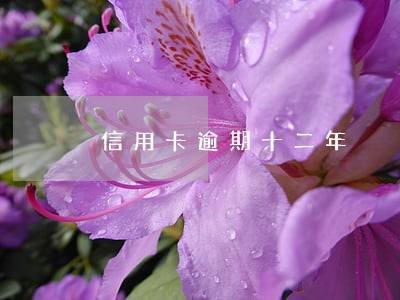 信用卡逾期十二年 信用卡逾期十二年