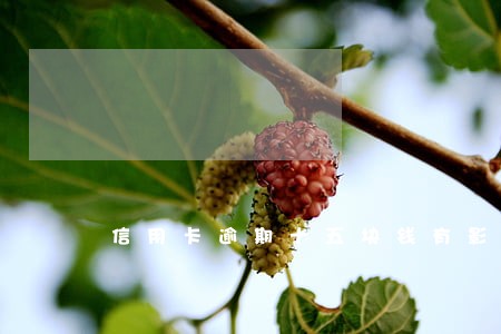 信用卡逾期十五块钱有影响吗 信用卡逾期十五块钱有影响吗