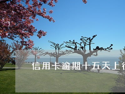 信用卡逾期十五天上征信吗 信用卡逾期十五天上征信吗