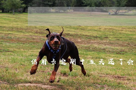 信用卡逾期十五天还了会怎样