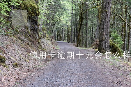 信用卡逾期十元会怎么样 信用卡逾期十元会怎么样