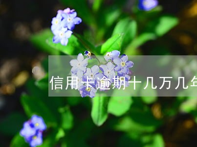 信用卡逾期十几万几年了